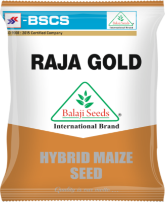 Raja Gold
