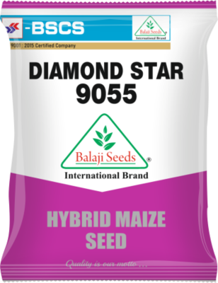 Diamond Star 9055