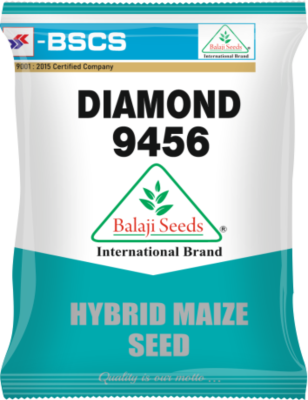 Diamond 9456