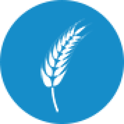 Jute Seed
